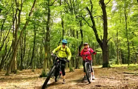 Sambata de Sus: E-Bike Guided Tours