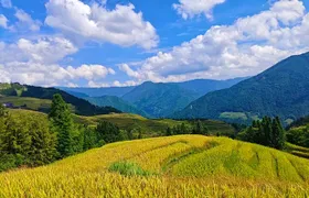 Longji Rice Terraces with Minority Village Private Day Trip
