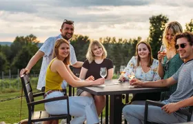5-Hour Traverse City Wine Tour: 3 Wineries on Leelanau Peninsula
