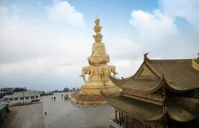 Panda Leshan Buddha Mt Emei 2 Days trip included 1 night stay