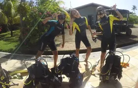 Discovering Diving / Discover Scuba Diving (DSD)