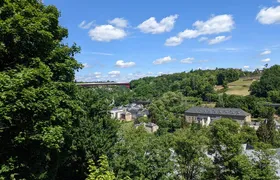 Luxembourg Guided Walking Tour in the city