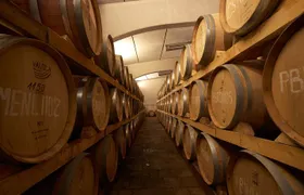 Private Make Your Own Wine Experience