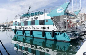 Dolphin watching catamaran cruise along Costa del Sol
