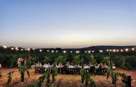 Vineyard dinner with wine-pairing in Valle d’Itria