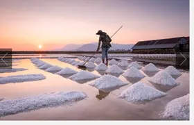 KAMPOT TRAVEL-Pepper farm. Cave.Secret lake-Crab market & Salt...