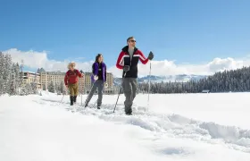 Lake Louise, Yoho National Park and Moraine Lake tour from Banff