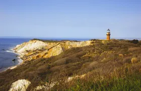 Martha’s Vineyard 3-hour shared tour from Oak Bluffs