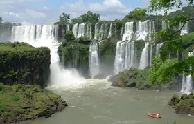 2-day rainforest exploration with Guaraní heritage and wildlife rescue