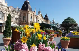 EVERLAND "From Hotel to Hotel" [Premium Private Tour: Only One Group for You]