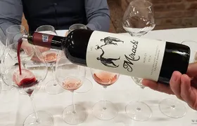 Day Tour: Visit Histria Ancient Citadel & Taste local wines