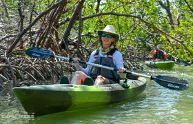 Mangrove Tunnels & Mudflats Kayak Tour - Local Biologist Guides