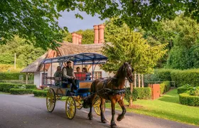 Killarney Jaunting Car Tour- Park to Castle
