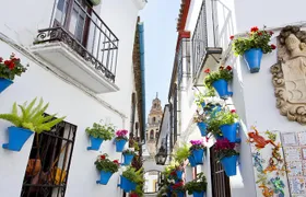 Mosque-Cathedral, Alcazar & Jewish Quarter with Tickets 