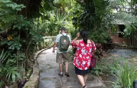 Dilly Dally Walking Tour of Nassau Attractions