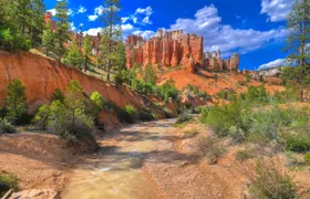 Half-day Horseback Riding Adventure at Bryce Canyon