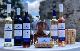Wine Tasting and Tour in Saint Anna Winery in Naxos