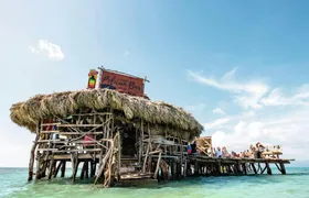 Appleton Rum, YS Falls and Pelican Bar private tour