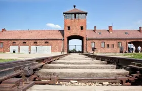 Auschwitz and Salt Mine 5-8 people in one day