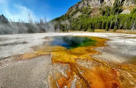 Yellowstone Lower Loop Full-Day Tour