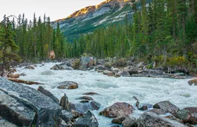 Self-guided Canadian Rockies drive and walk with audio tour