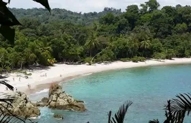 Manuel Antonio National Park Sightseeing and Wildlife Day Tour from San Jose