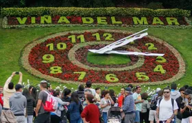 Small Group Pre-Post Cruise Viña del Mar Valparaiso and Casablanca Winery tour