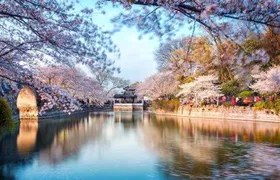  All Inclusive Wuxi City Flexible Private Day Tour 