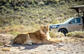Two-day Chobe safari and Victoria Falls escape