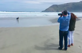 Dunedin Shore Excursion: Small-Group Tour of Dunedin and the Otago Peninsula