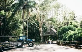 Tropical Fruit World Farm Full Tour