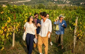 Winery of Assisi guided tasting with 5 wines and lunch