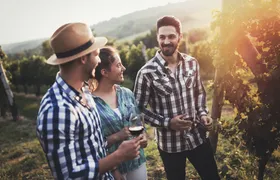 Guided half-day Mount Tamborine winery tour with lunch