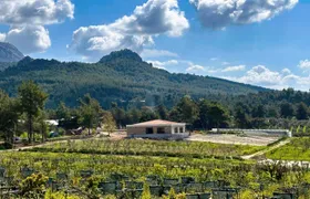 Organic farm visit with local lunch and trailer ride in Turkey