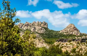 Discover Wonderful Gallura with Lunch