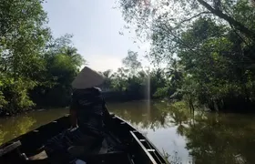 Mekong Delta and Cai Rang Floating Market 5-Hours Tour