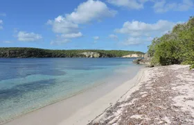 Isla de Vieques Beach Hopper Sightseeing Tour
