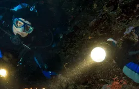 Scuba Diving at Dusk in Unawatuna