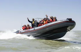 Unique skyline cruise