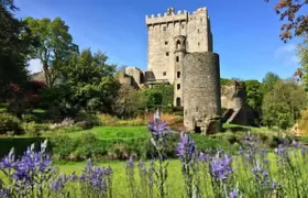 Cobh (Cork) to Blarney Castle & Kinsale - Shore Excursion