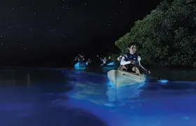 Overnight Bio Bay Kayak Tour in Vieques Island