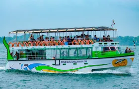 Whales and Dolphins Watching-Luxury Super Grade Cruiser(Hotel Pick up offered)