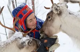 Full-Day Reindeer Tour with Pickup in Kiruna