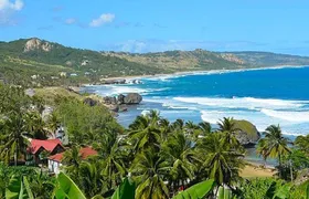 Barbados Island Tour with Lunch and Wildlife Sanctuary