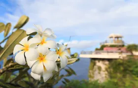 Ultimate Guam self-driving audio tour