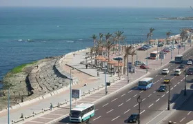 Day Tour of Alexandria
