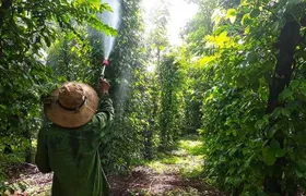 Cooking, Farming and Waterfall In Vietnam Countryside