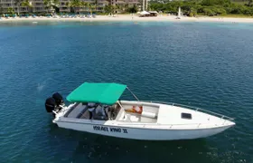 Private Full Day Charter: St Lucia Boat Tour to Soufriere