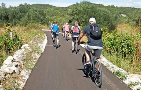 Korcula Bike & Wine Tour - Mountain Bike Tour