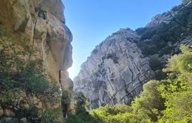Private Hiking with transfer | Canuto de la Utrera